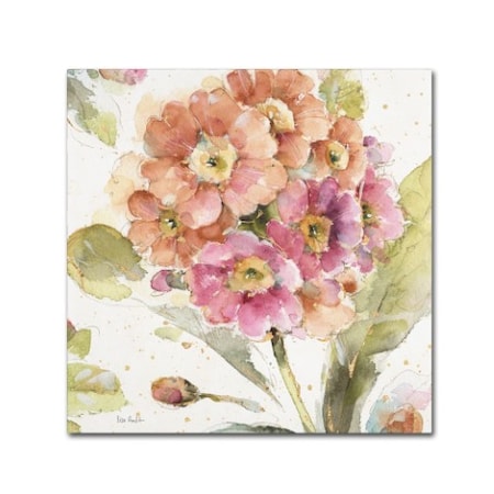 Lisa Audit 'Country Bloom VI' Canvas Art,14x14